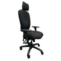 PS07LS With D4 Arms and Zenitha Headrest